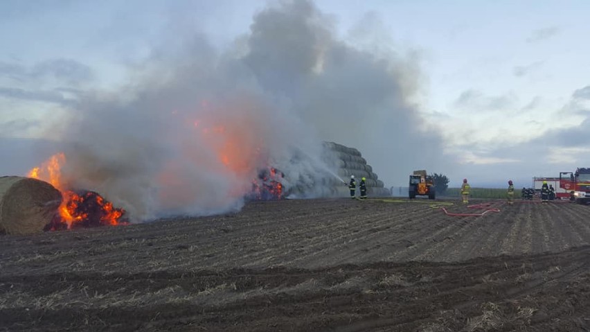 Z pożarem stogu w Komorowie 27 sierpnia 46 strażaków...