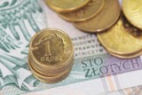 Nowe stawki podatków od nieruchomości od nowego roku w Tomaszowie: Będą podwyżki i obniżki