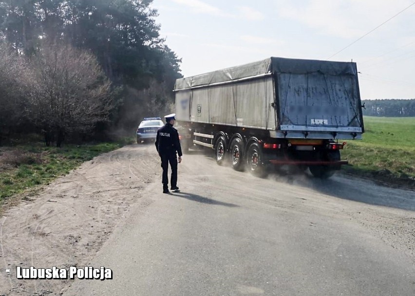 Policjanci pomagają w walce ze skutkami ASF.