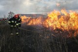 Strażacy z Radomska gaszą coraz więcej pożarów suchych traw