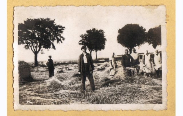 Piaseczno pod Sępólnem Krajeńskim - wieś i jej mieszkańcy. Prezentujemy archiwalne fotografie z życia mieszkańców Piaseczna z okresu powojennego, głównie z lat 50. i 60. Znajdziecie na nich życie codziennie mieszkańców wsi: żniwa, wakacyjne wycieczki, zabawy na śniegu. Zdjęcia pochodzą z Cyfrowego Archiwum Tradycji Lokalnej Biblioteki Publicznej im. J. Iwaszkiewicza w Sępólnie Krajeńskim.