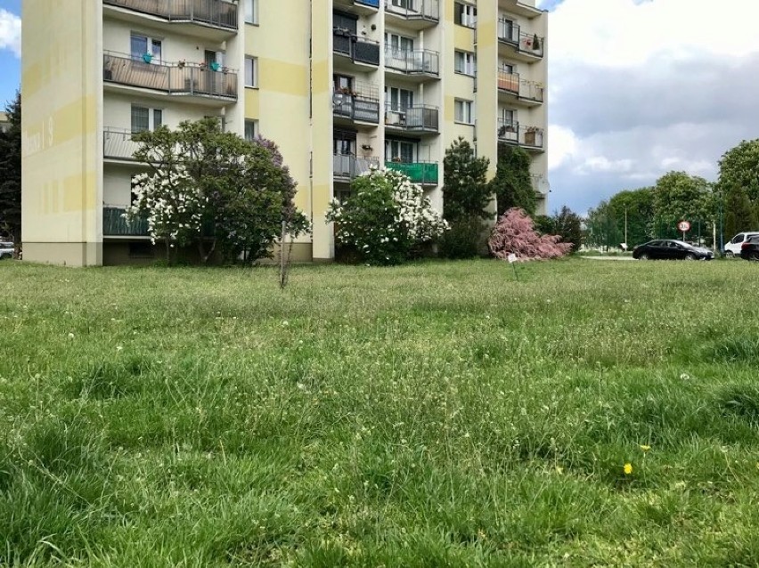 Spółdzielnia Mieszkaniowa Lokatorsko – Własnościowa w Pleszewie walczy o czyste powietrze