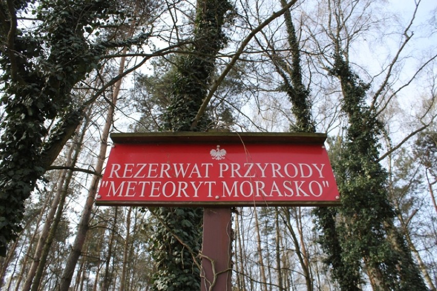 Rezerwat Morasko