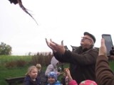 100 bażantów wpuszczono do naturalnego środowiska w gminie Wągrowiec [ZDJĘCIA i FILM] 