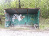 Koszmarne przystanki autobusowe w powiecie olkuskim i chrzanowskim 