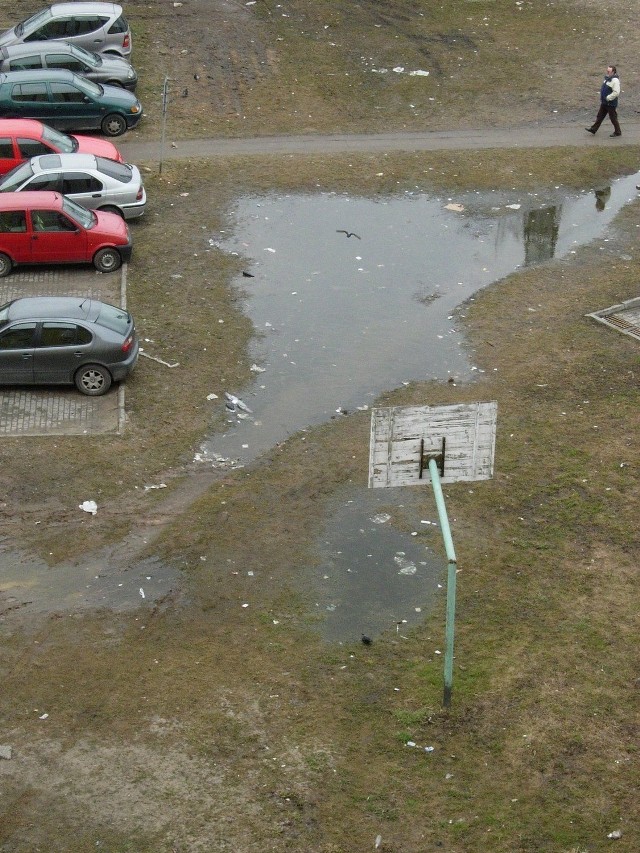Fot.5 Wiosna jest też na osiedlowym boisku pełnym wody i śmieci, Fot.Krystyna Wierzbicka