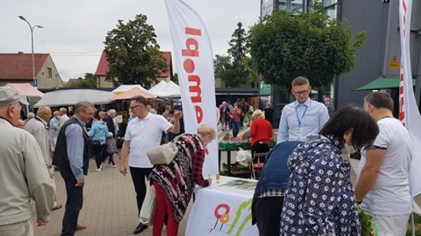 Burmistrz osobiście zachęca do głosowania na nową trasę...