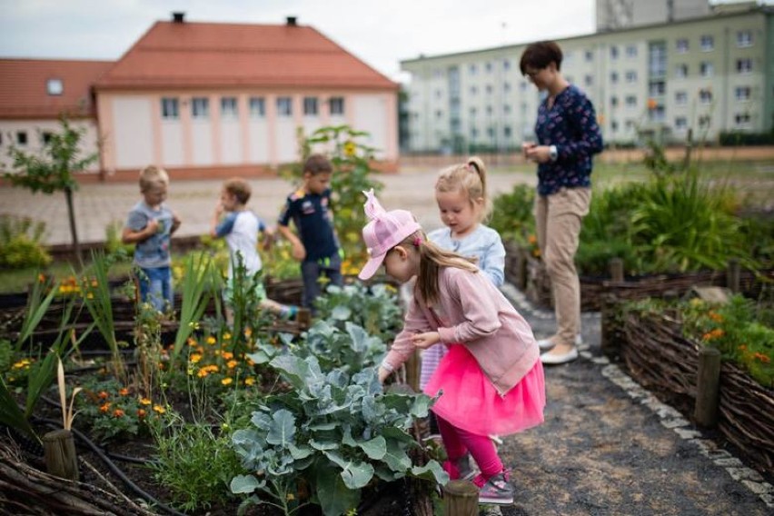 Ogrody Społeczne mogą powstawać na osiedlach i na terenie...