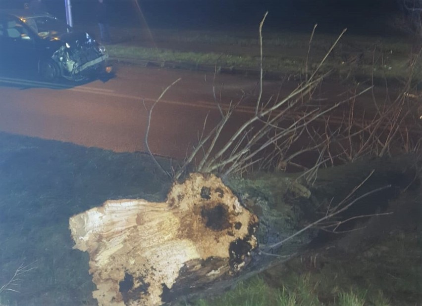 W Polance Wielkiej złamane drzewo spadło na przód samochodu...