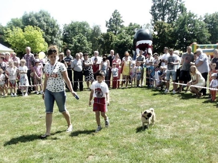 Organizatorzy: Gabinet Weterynaryjny Centrum Zdrowia i...