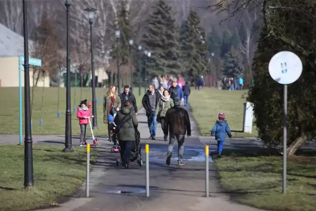 Na niedzielnym spacerze w Parku Śląskim