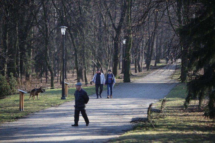 Na niedzielnym spacerze w Parku Śląskim