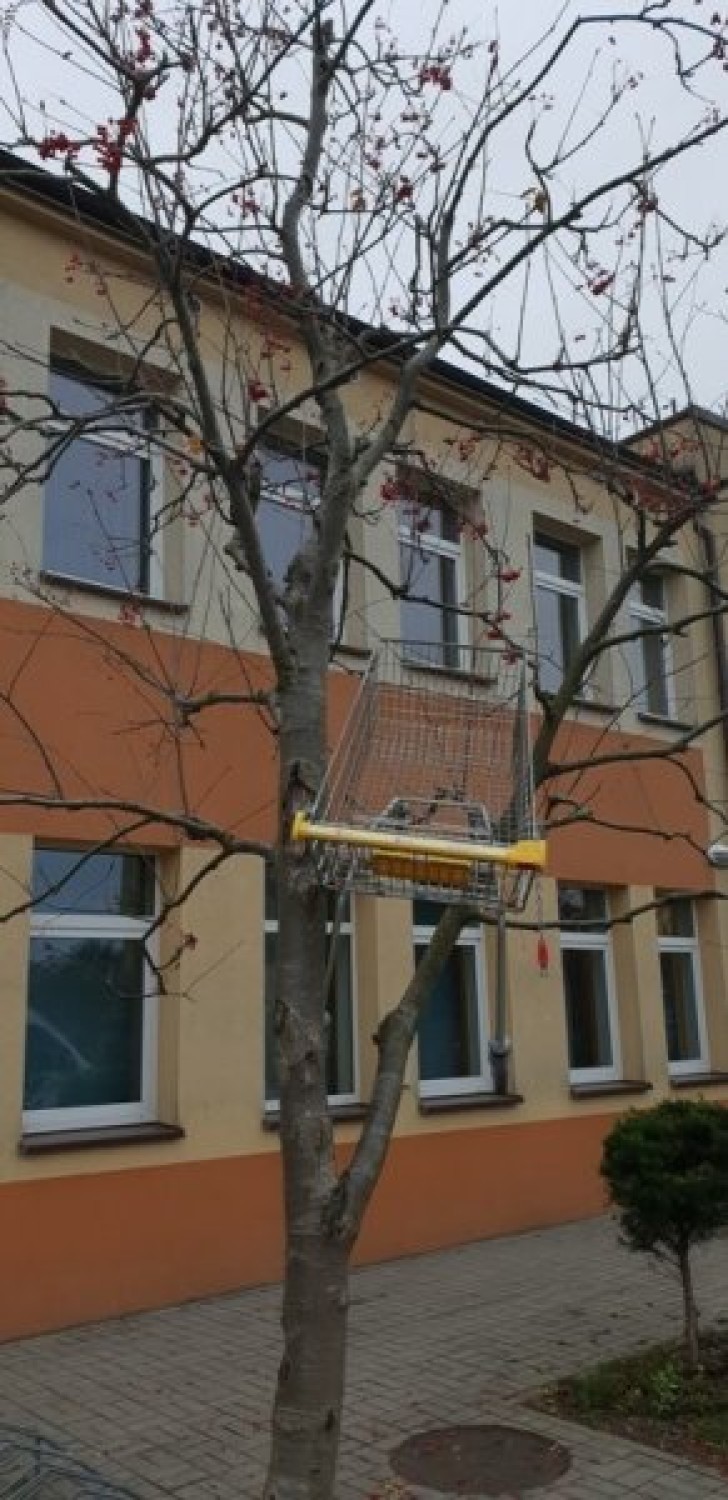 Wandale zdewastowali wiatę przystankową na Roszczynialskiego w Wejherowie