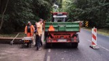 Prezydent Andrzej Duda w Piotrkowie i Kole. Trwają przygotowania do wizyty pary prezydenckiej: sprzątanie lasu, naprawa dróg ZDJĘCIA