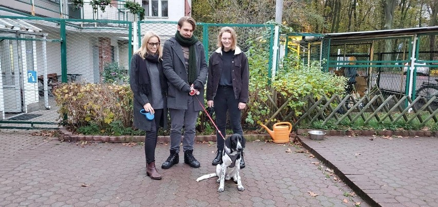 Pracownicy toruńskiego schroniska dla zwierząt stawiają...