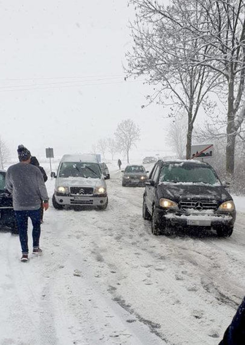 Zderzenie samochodów w Radoniowie