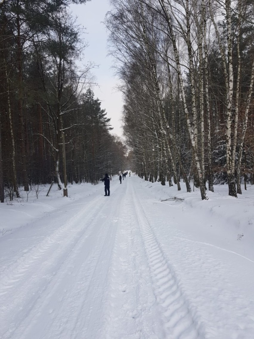 Szczęśliwy finał poszukiwań mężczyzny z Margonina.