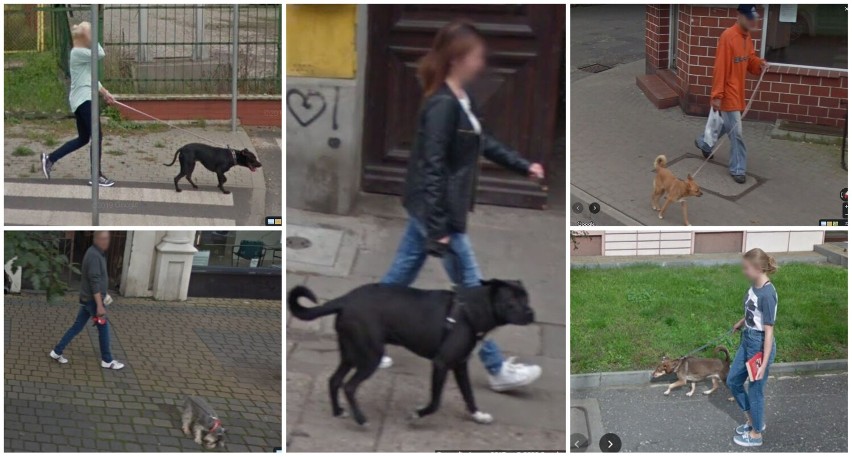 Oto nasi przyjaciele. Na mapach Google Street View stali się...