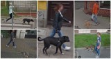 Mieszkańcy Bydgoszczy przyłapani na spacerach z psami. Zobacz zdjęcia z Google Street View! Poznajecie kogoś? [NOWE ZDJĘCIA] [7.11.22 r.]