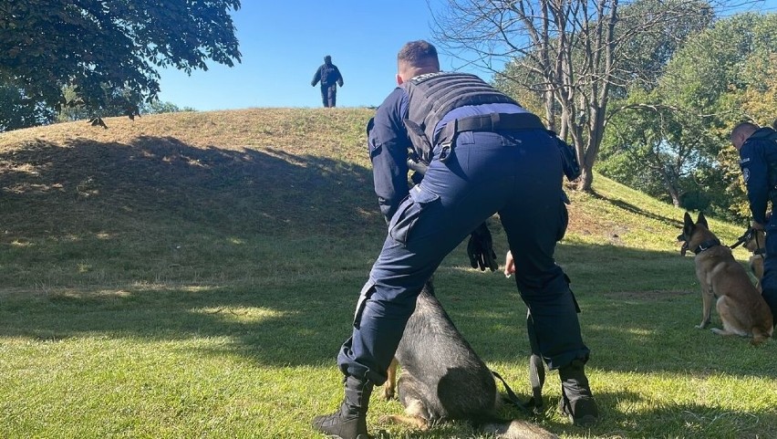 Bielsk Podlaski. Policjanci przeprowadzili kolejne szkolenie psów [ZDJĘCIA]