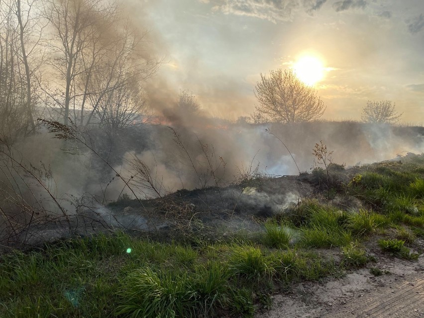 #StopPożaromTraw Strażacy z Brodnicy apelują o rozwagę, za większość pożarów traw odpowiedzialny jest człowiek 