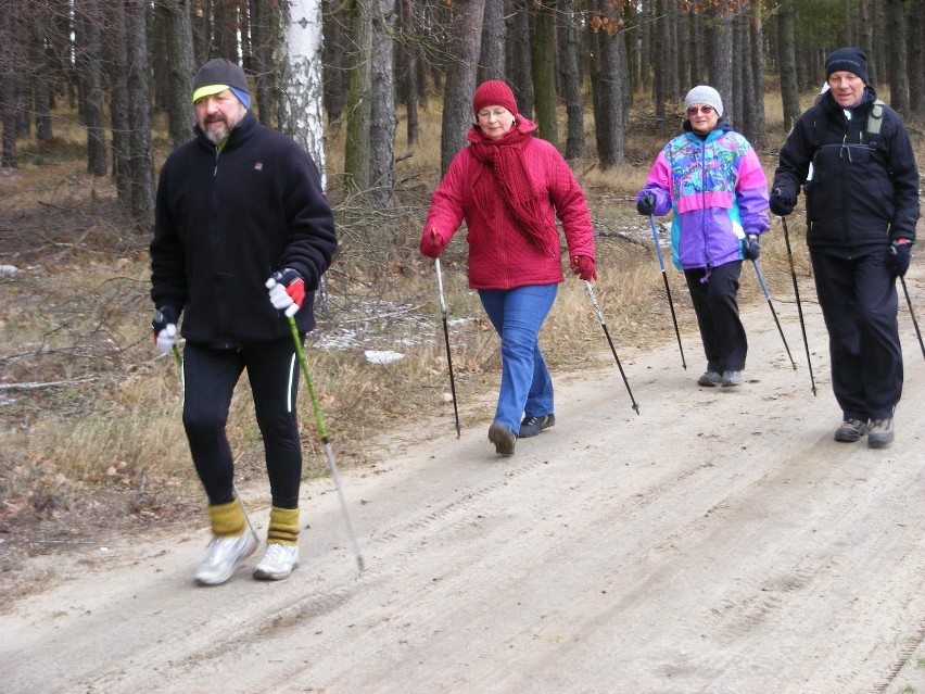 Wycieczka nordic walking przez Puszczę Zielonkę [ZDJĘCIA]