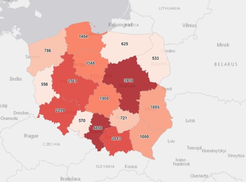 Koronawirus - Polska, 8.04.2021