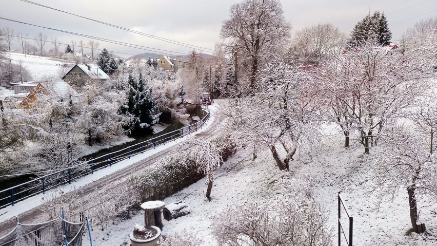 Pierwszy śnieg spadł w Wałbrzychu 26 listopada 2021 roku....