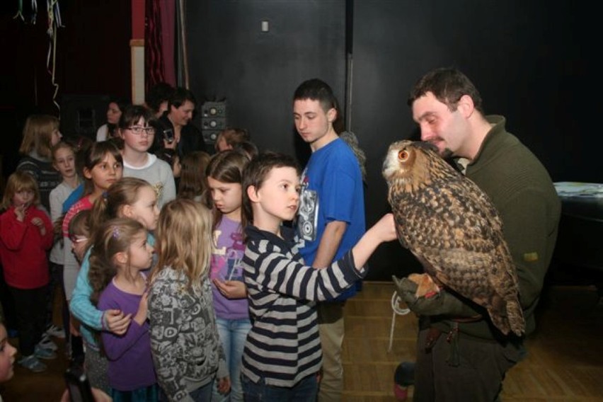 Po Domu Kultury w Rumi Janowie latała... sowa