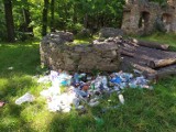 Sprzątali Park Książański. Trzy osoby zebrały jednego dnia dziesiątki worków śmieci!