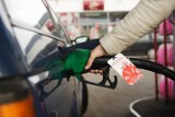 Ceny paliw wciąż spadają. W Szczecinie benzyna poniżej 4 zł za litr. Sprawdź gdzie