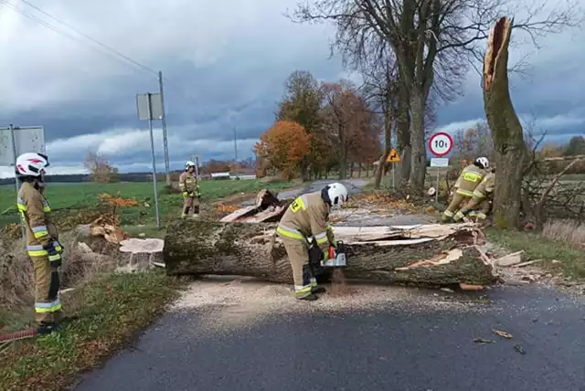 O godz. 17.00 (21 października 2021 r.) zastęp strażaków z MOSP Prabuty usuwał wiatrołomy na trasie Antonin - Rodowo - Rodowo Małe