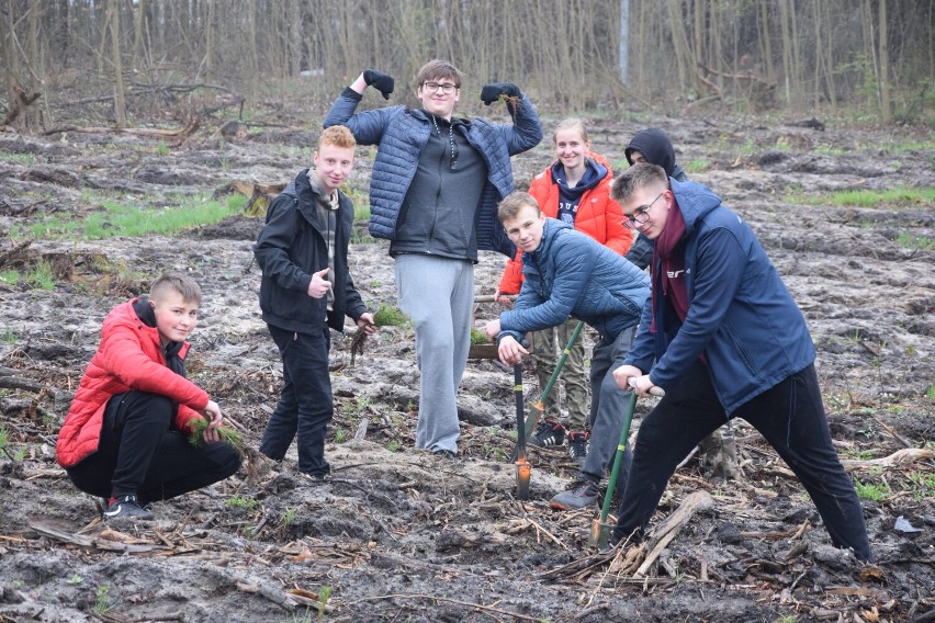 Akcja sadzenia drzew „Lasy pełne energii” Grupy PGE 2022 zainagurowana w Łódzkiem. Udział wzięła młodzież z sieradzkiego Mechanika ZDJĘCIA