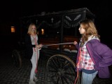 Noc Muzeów w Chorzowie 2014: W Skansenie czaiły się śląskie demony 