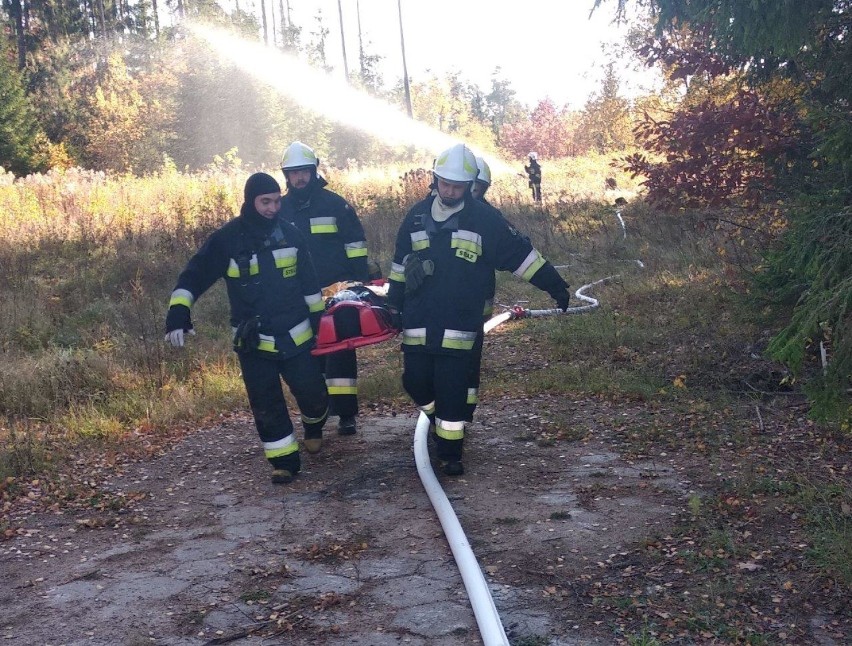 Pożar lasu zagrażał Orlenowi. Tak strażacy ćwiczyli w boju (zdjęcia)