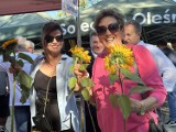 Piknik stowarzyszeń w Bełchatowie. Zobaczcie, jak się prezentowały FOTO, VIDEO