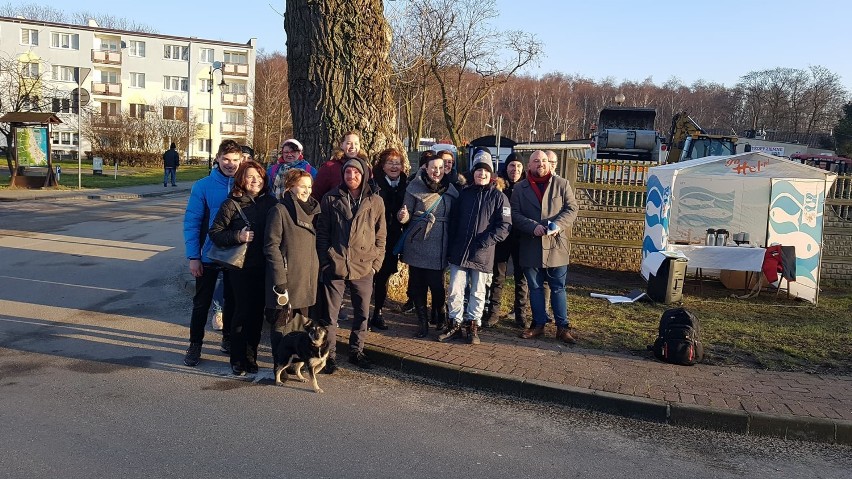 Helena, topola z Helu walczy o tytuł europejskiego drzewa...