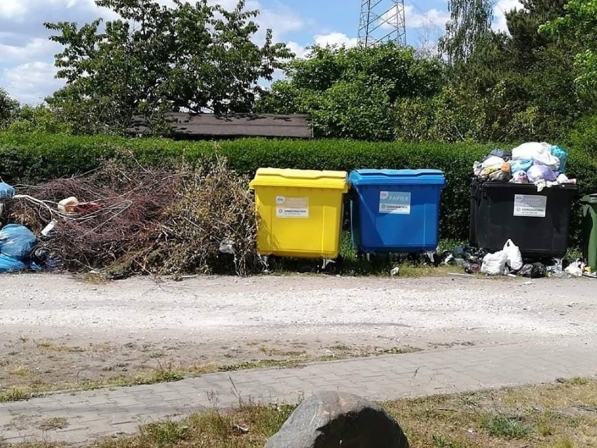 Działkowcom z Bydgoszczy cuchną śmieci – zawiadamiają sanepid