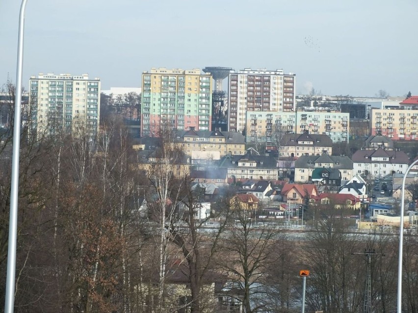 Drzewa wzdłuż zalewu Pasternik zasłaniają widok na staw i...