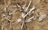 Jastrowie: Znaleziono szczątki ludzkie przy ul. Grunwaldzkiej. W Jastrowiu wykopano ludzkie kości