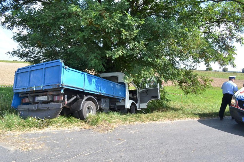 Wypadek w Sulisławiu. Bus uderzył w drzewo