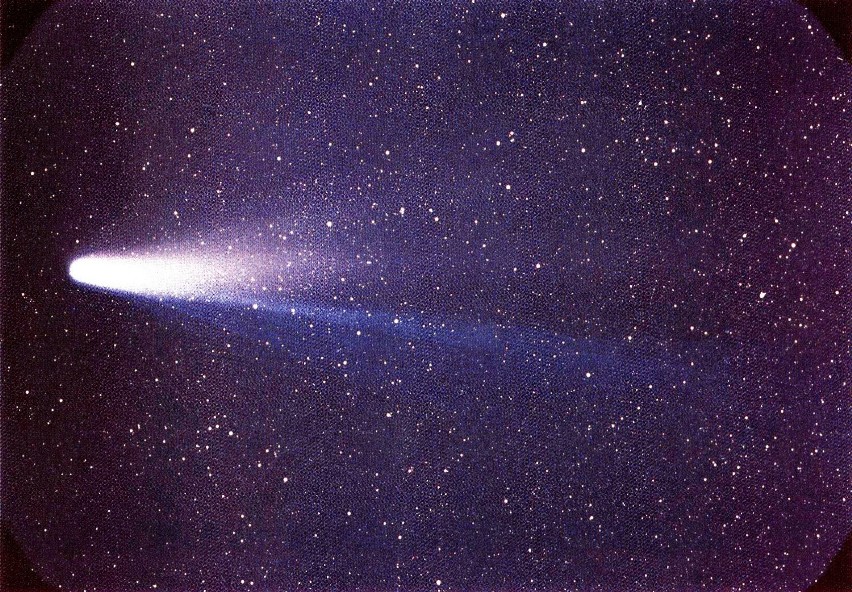 Kometa Halleya...