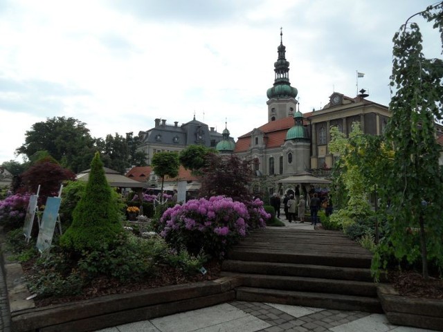 Daisy Days w Pszczynie, czyli wystawa ogrodów na rynku