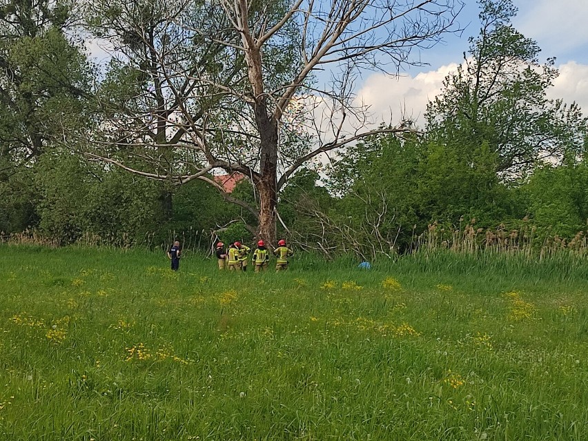 Zwłoki w rzece w Wągrowcu. Znaleźli je kajakarze. Trwają działania policji. Kto to jest?