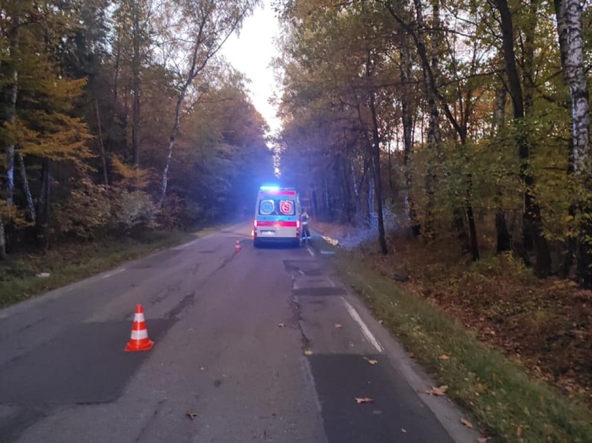 Wypadek w Dąbrowie Górniczej. Dziki wybiegły na drogę, samochód dostawczy wjechał w drzewo