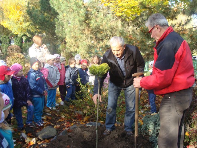 Dzieci z Przedszkola nr 23 wzięły udział w akcji sadzenia drzewek