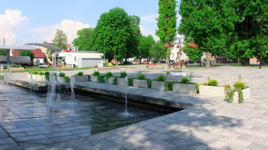 Ukwiecona Dąbrowa Białostocka. Miasto pełne kwitnących roślin jest nie do poznania 