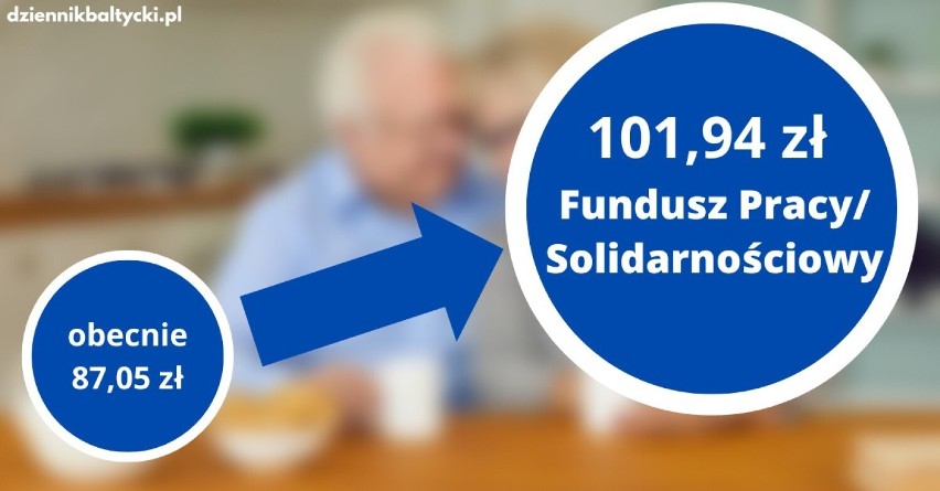 101,94 zł Fundusz Pracy/Solidarnościowy (obecnie 87,05 zł),