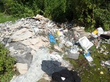 Na łamach Tygodnika Ruda Śląska trwa akcja tropienia dzikich wysypisk śmieci. Czekamy na zgłoszenia!