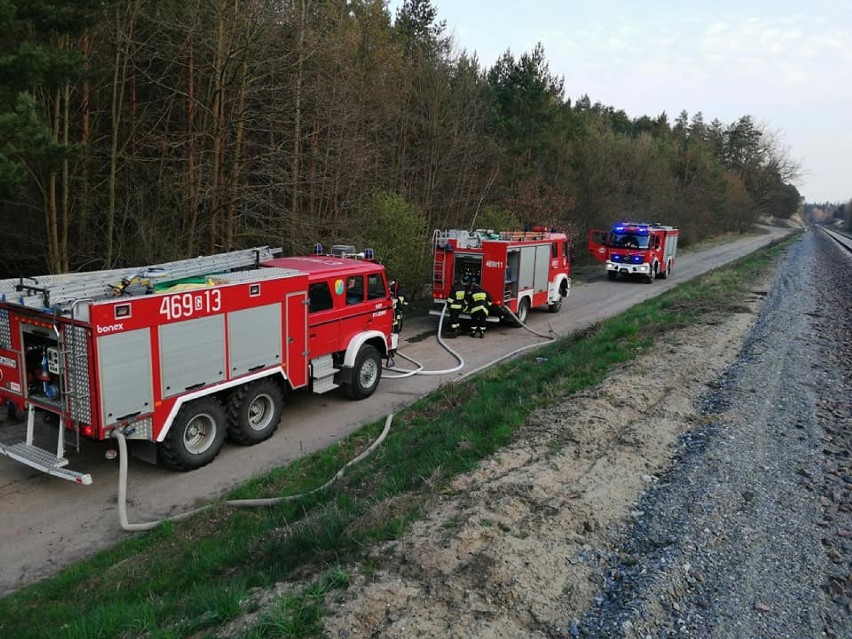 Trwa głosowanie w plebiscycie Strażak Pomorza. W powiecie kwidzyńskim prowadzi Ochotnicza Straż Pożarna w Ryjewie 